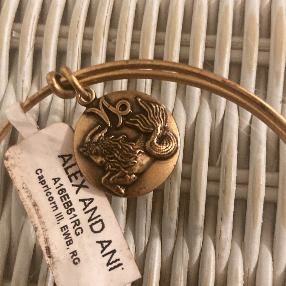 Alex and Ani NWT Capricorn bracelet